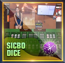 SICBO DICE